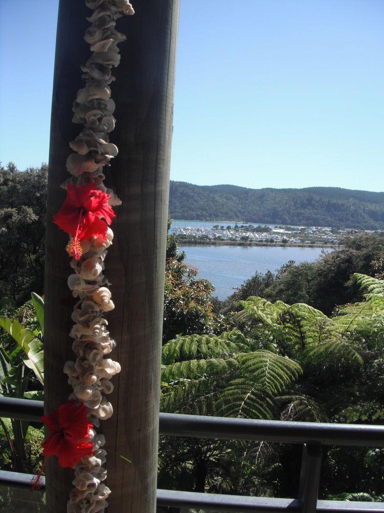 Whangamata Vistas B&B Esterno foto
